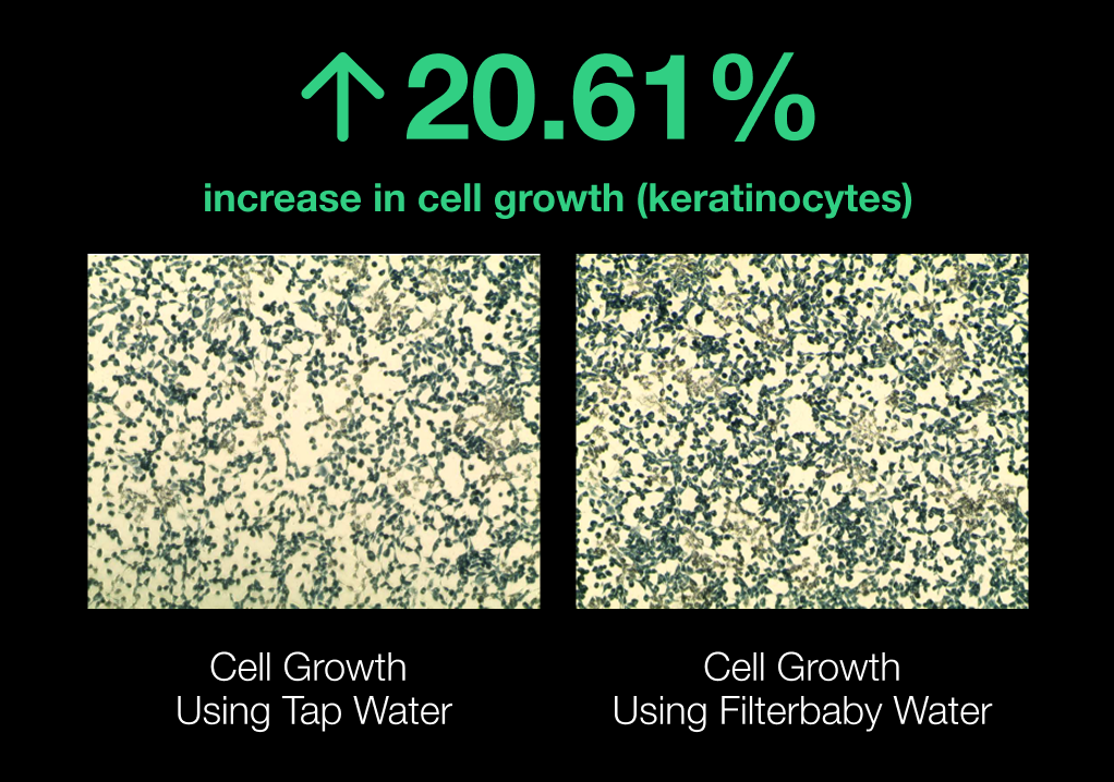 Comparison of cell growth using tap water and Filterbaby water with a 20.61% increase.