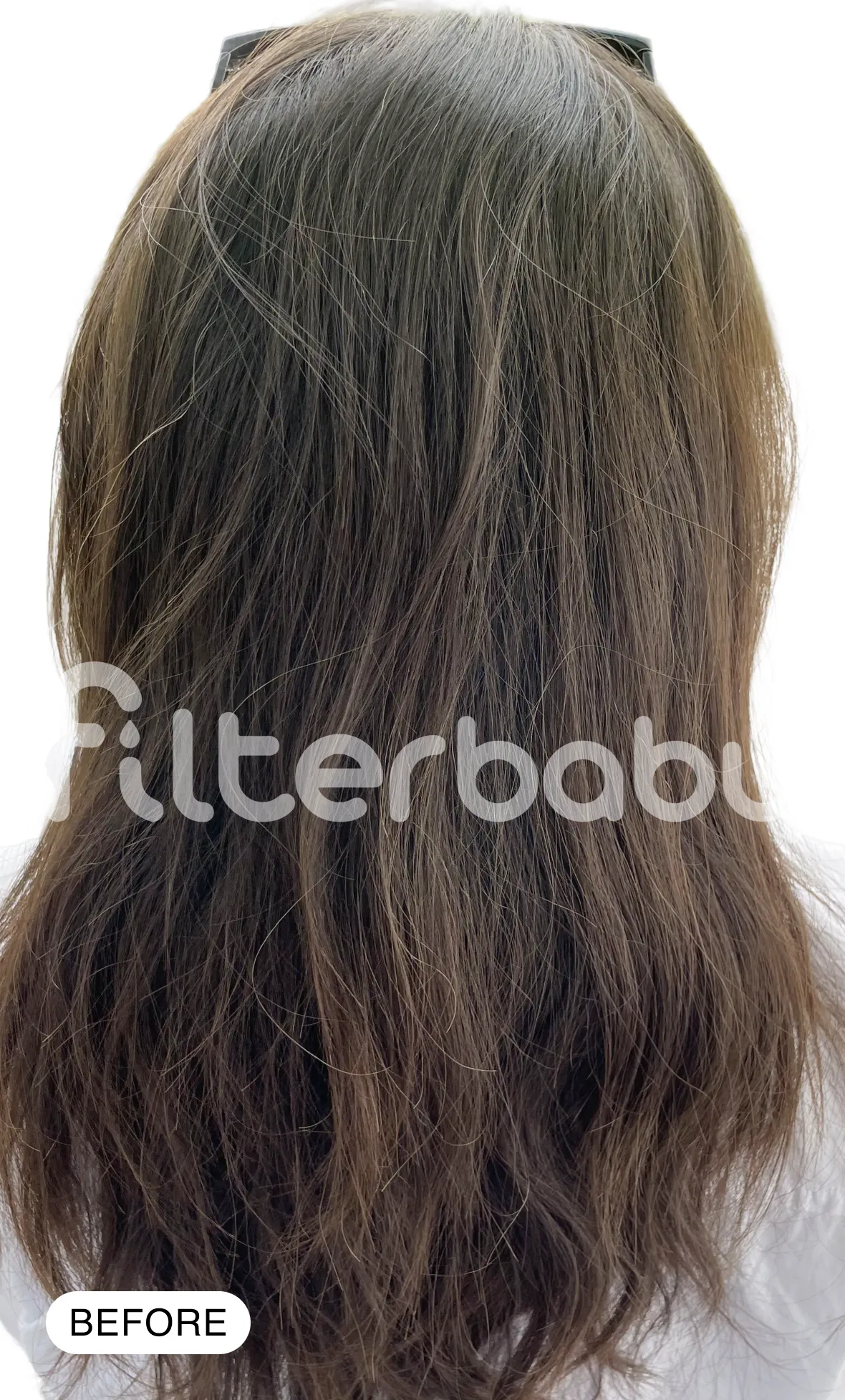 A before photo showing the back of a person's head with long, straight brown hair.
