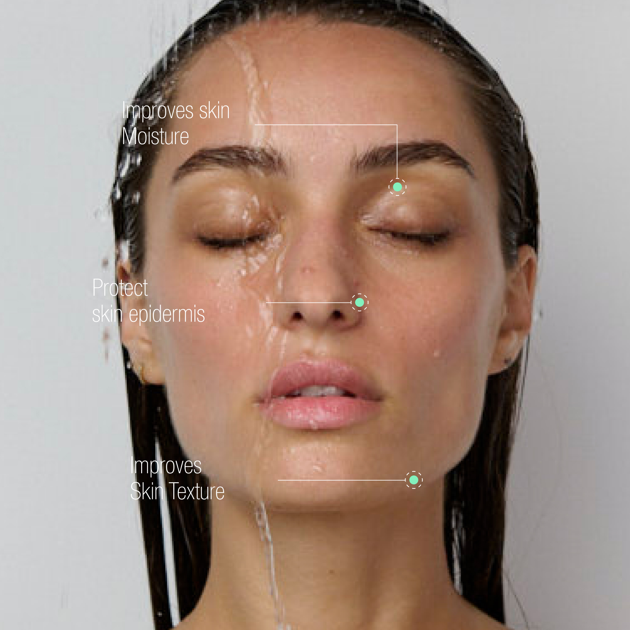 A single green leaf against a white background.