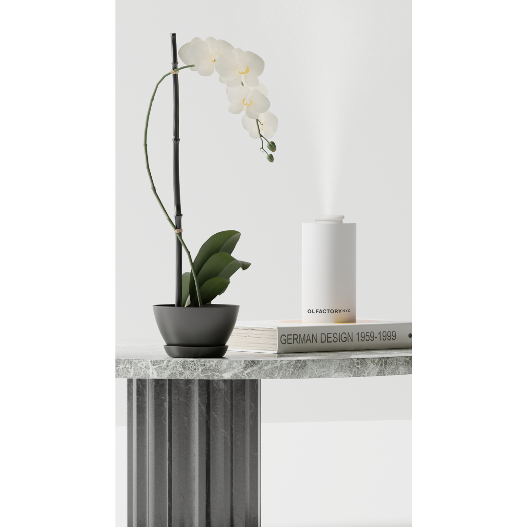 Orchid in a black pot next to a white diffuser on a book.