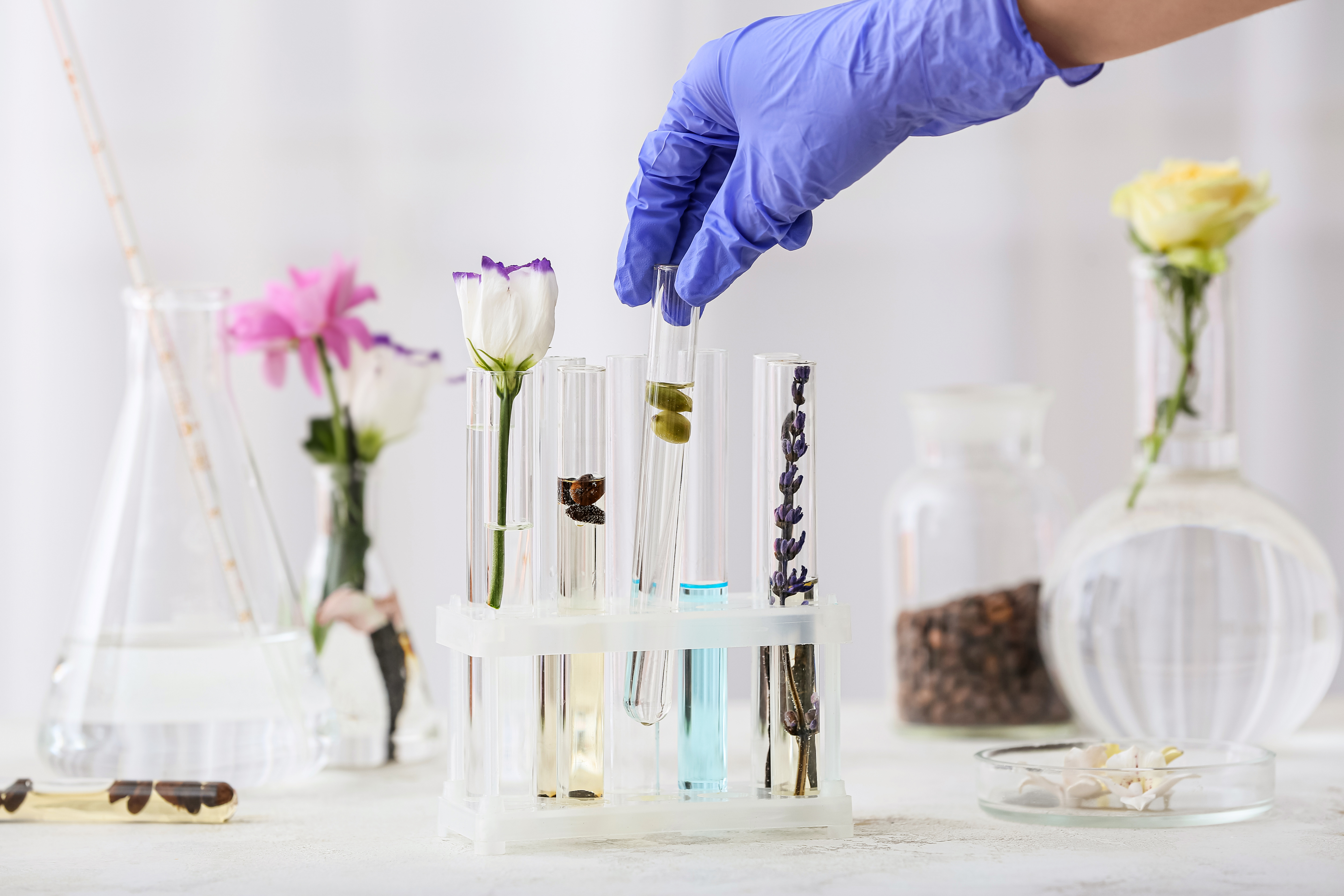 Laboratory glassware on a white counter with flowers, sliced apples, and wood chips.