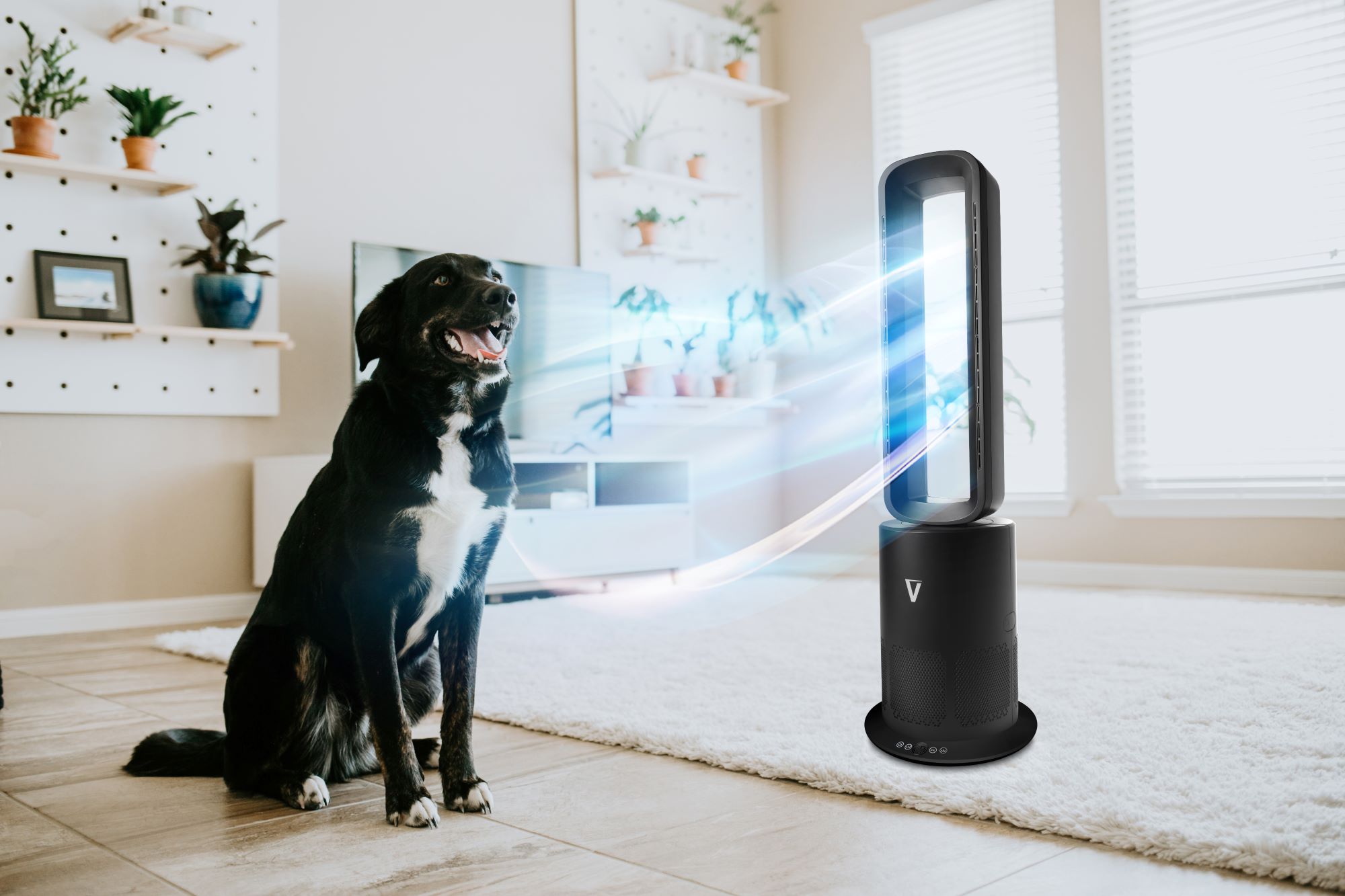 Black dog sitting beside a tall bladeless fan, indoors.