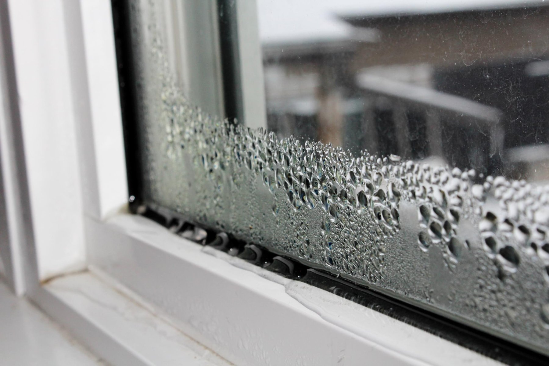 Damp and mould building up in a British home