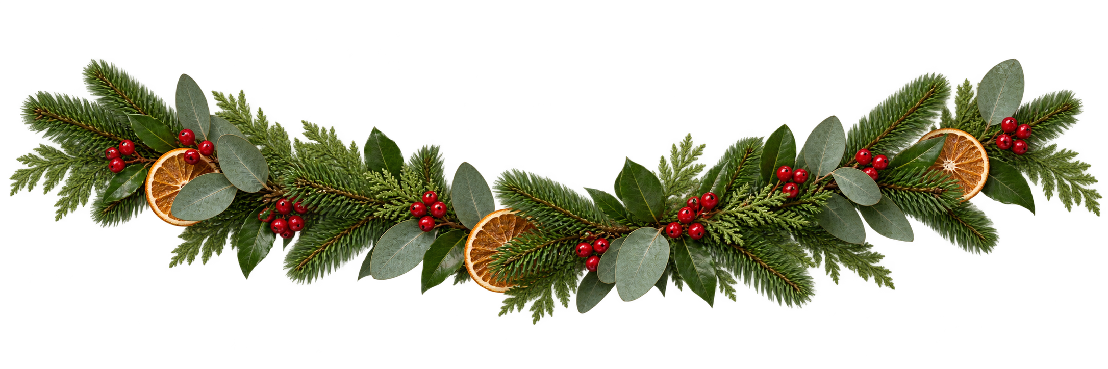 A curved garland of evergreen branches, red berries, and dried orange slices against a white background.
