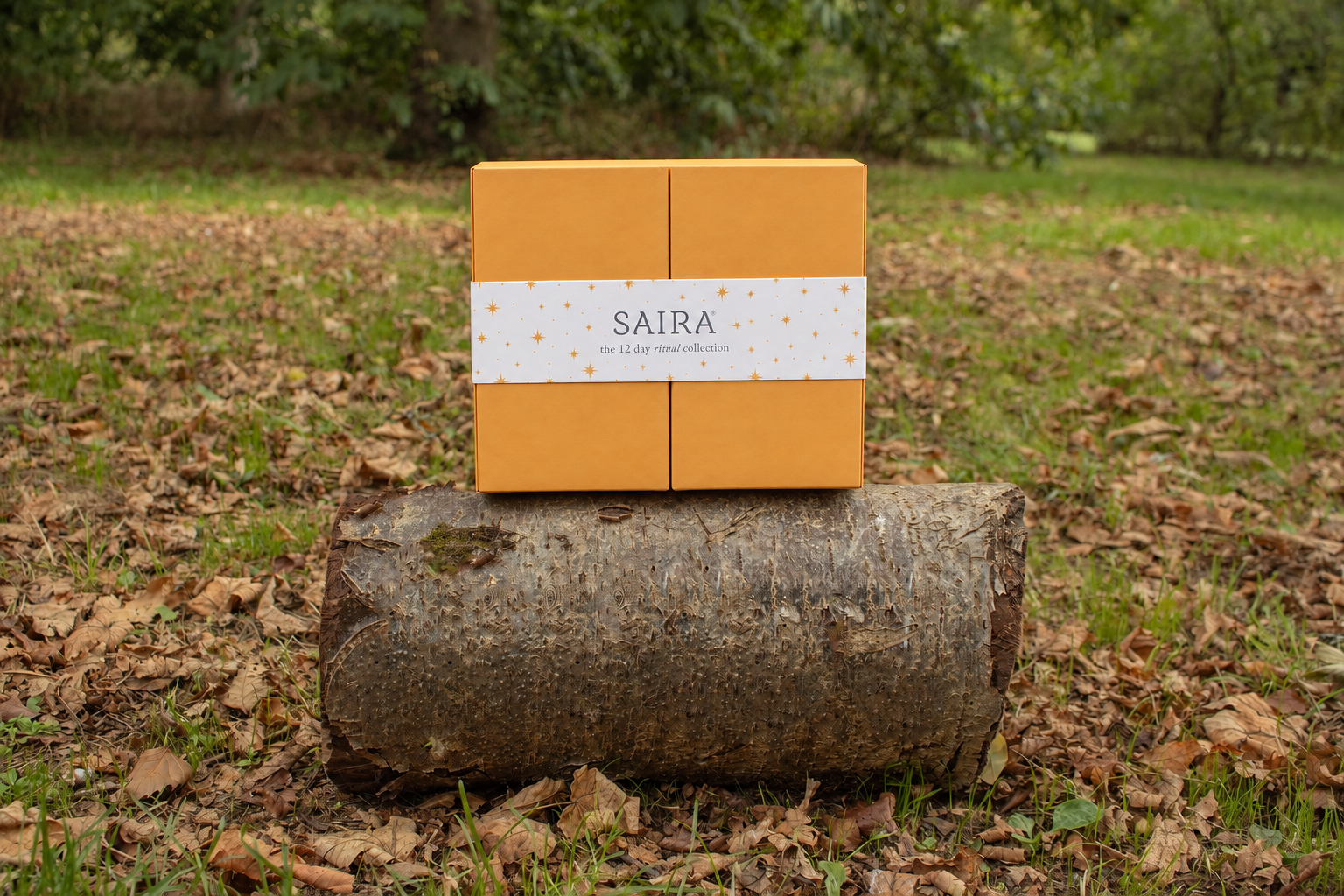 A square, orange Saira gift box with a white sleeve, sitting on a log outdoors.