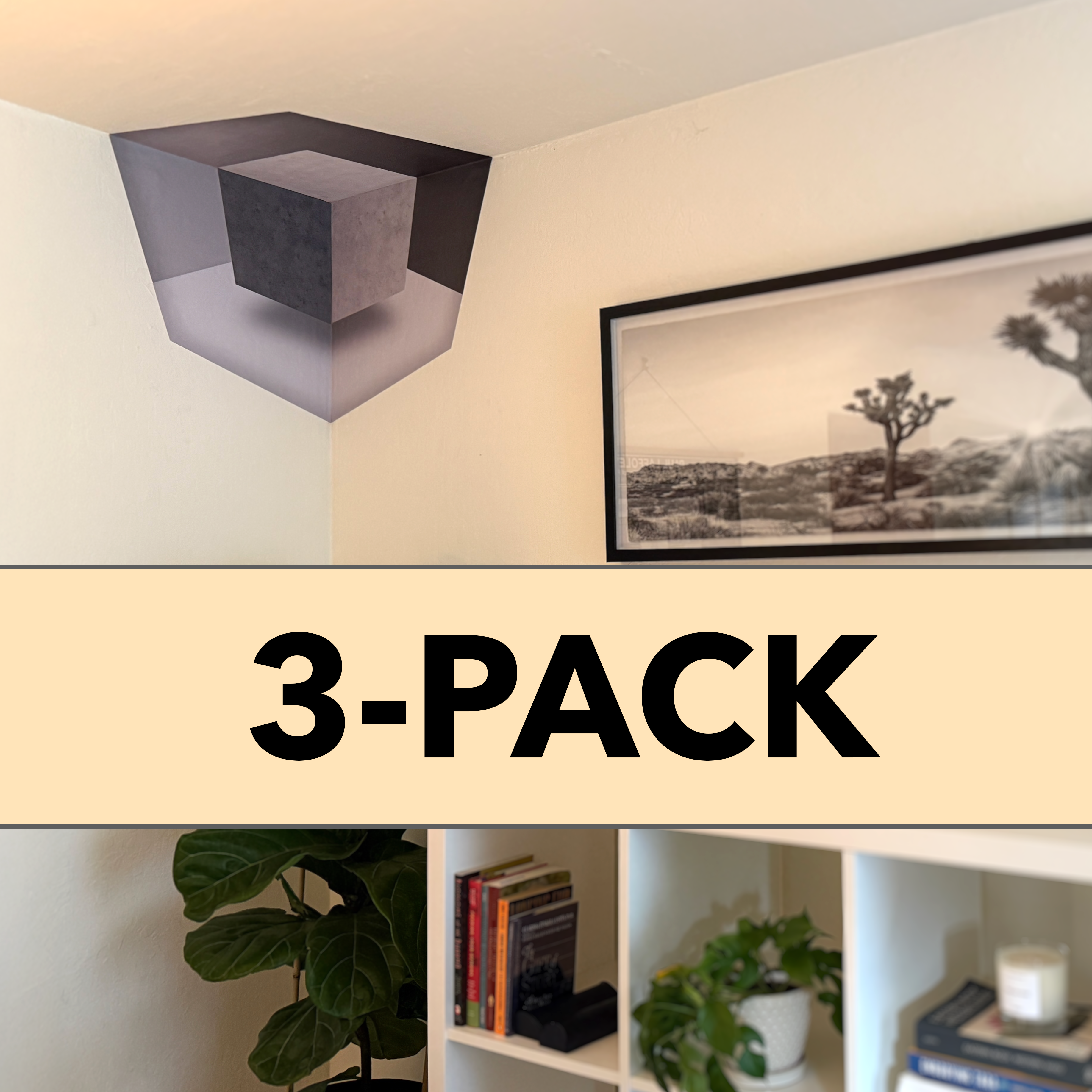 Room with corner artwork, plant, shelf with books, and framed photo.