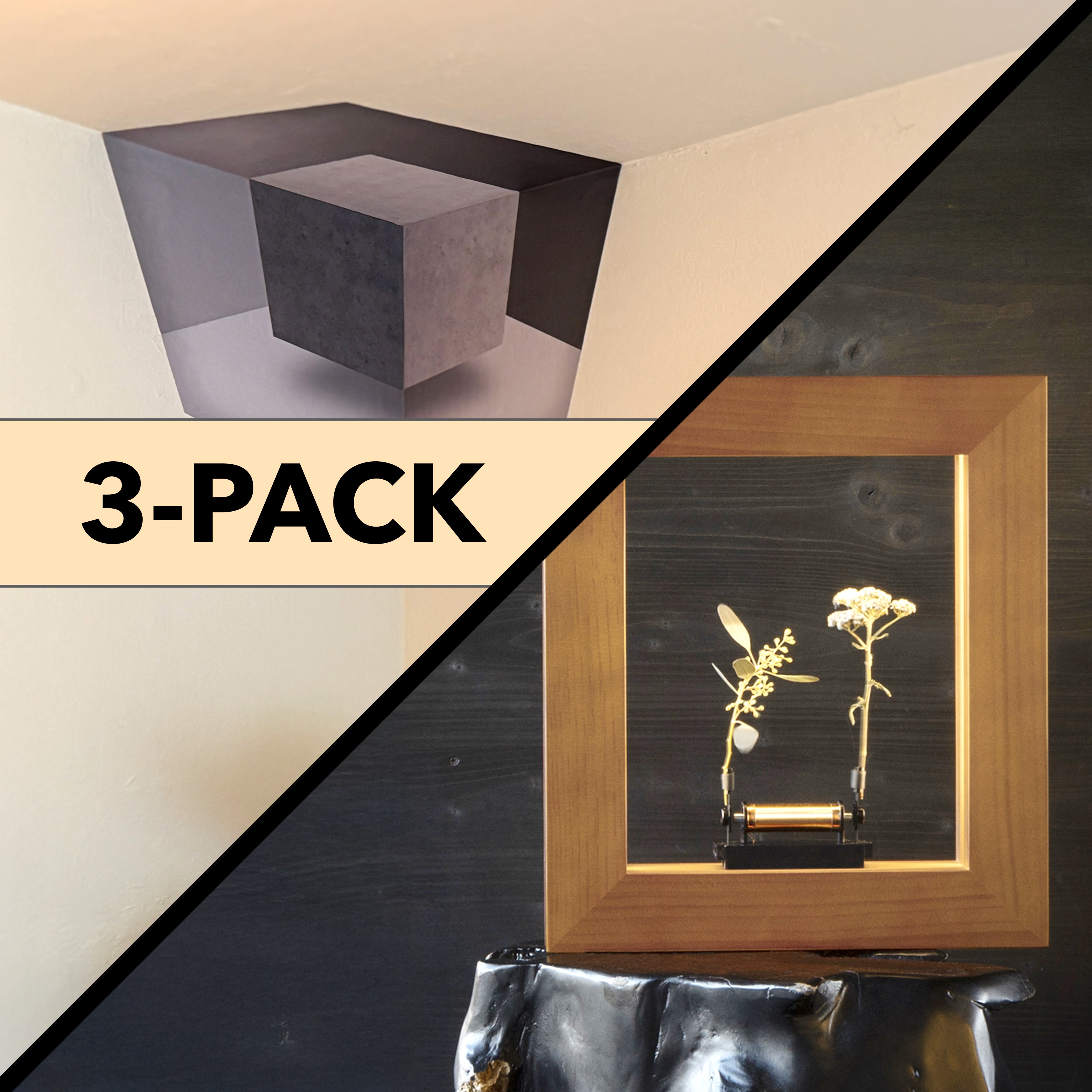 Split image with a 3-pack sign, optical illusion cube, and framed flowers.