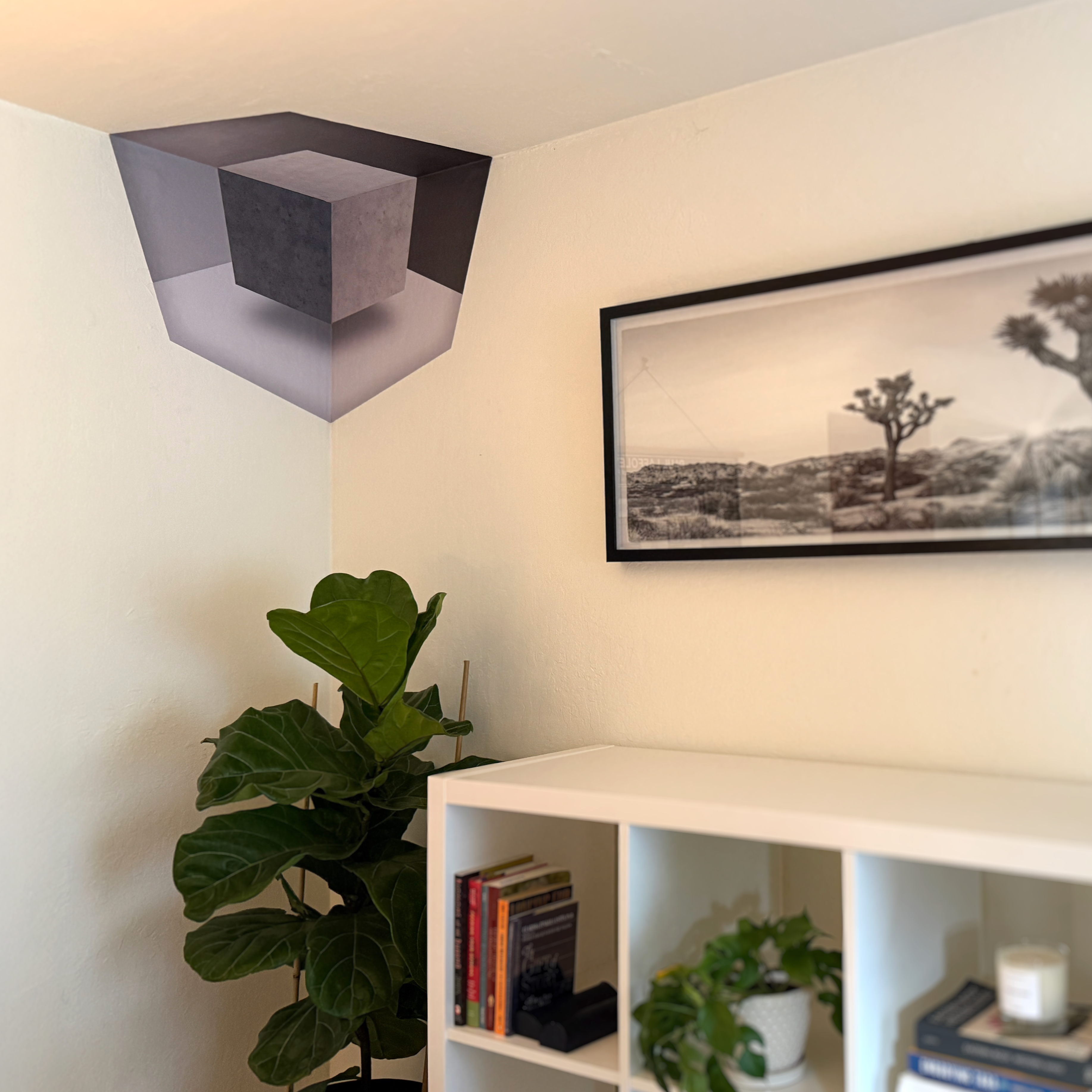 Corner room with a large plant, framed photo, and a geometric ceiling design.