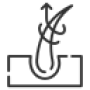 Simple line drawing of a seedling sprouting from soil.