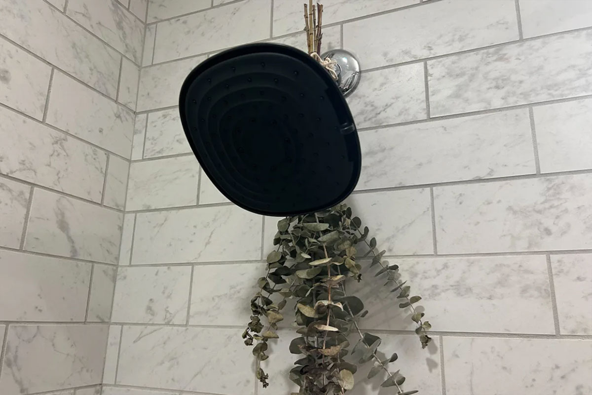 Black showerhead with hanging eucalyptus in a tiled bathroom.