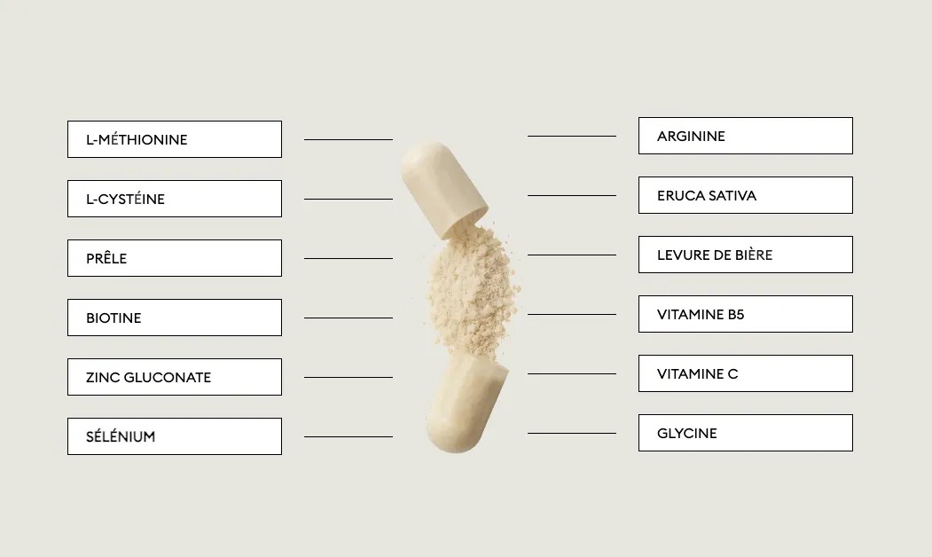 Cápsula abierta con polvo, rodeada de ingredientes etiquetados en francés.