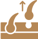 Illustration of hair follicles on skin with one hair growing.