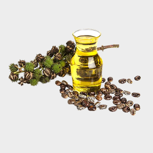 Glass jar of oil with castor beans and plant.