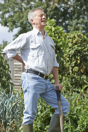 Man in garden holding shovel, expressing back discomfort.