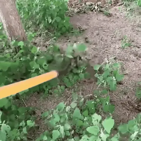 Person digging near green plants in a garden or park area.