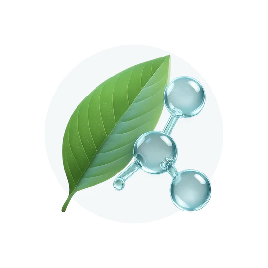An illustration of a green leaf next to a transparent molecular structure on a white circular background.