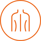 An orange line icon of a person's back and shoulders in a circle.