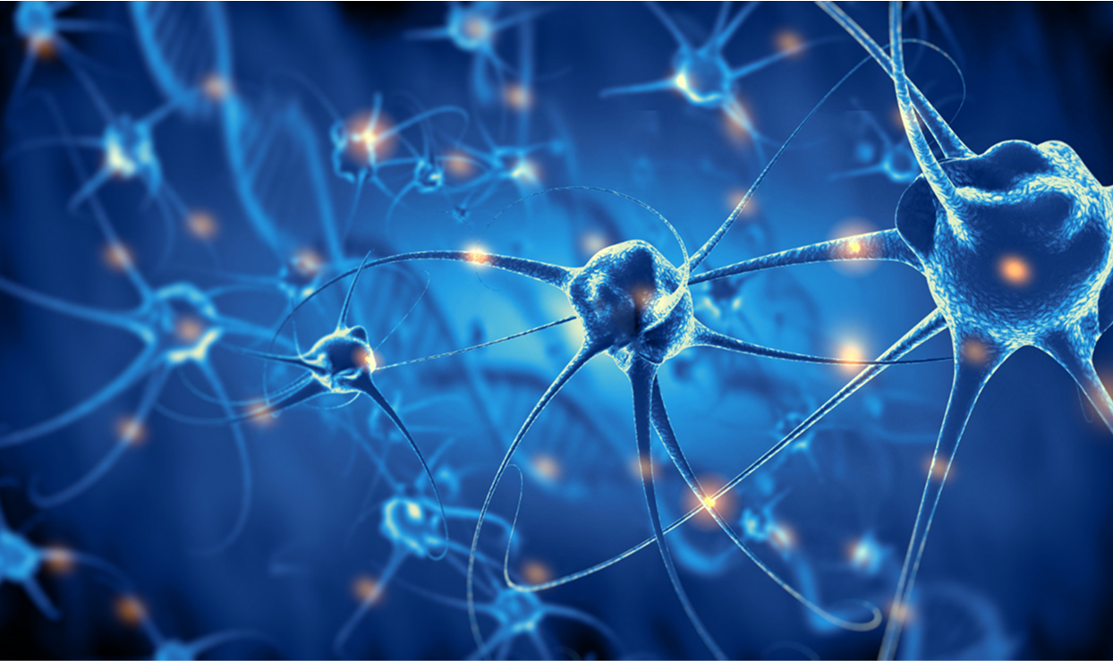 Illustration of neurons with glowing synapses on a blue background.