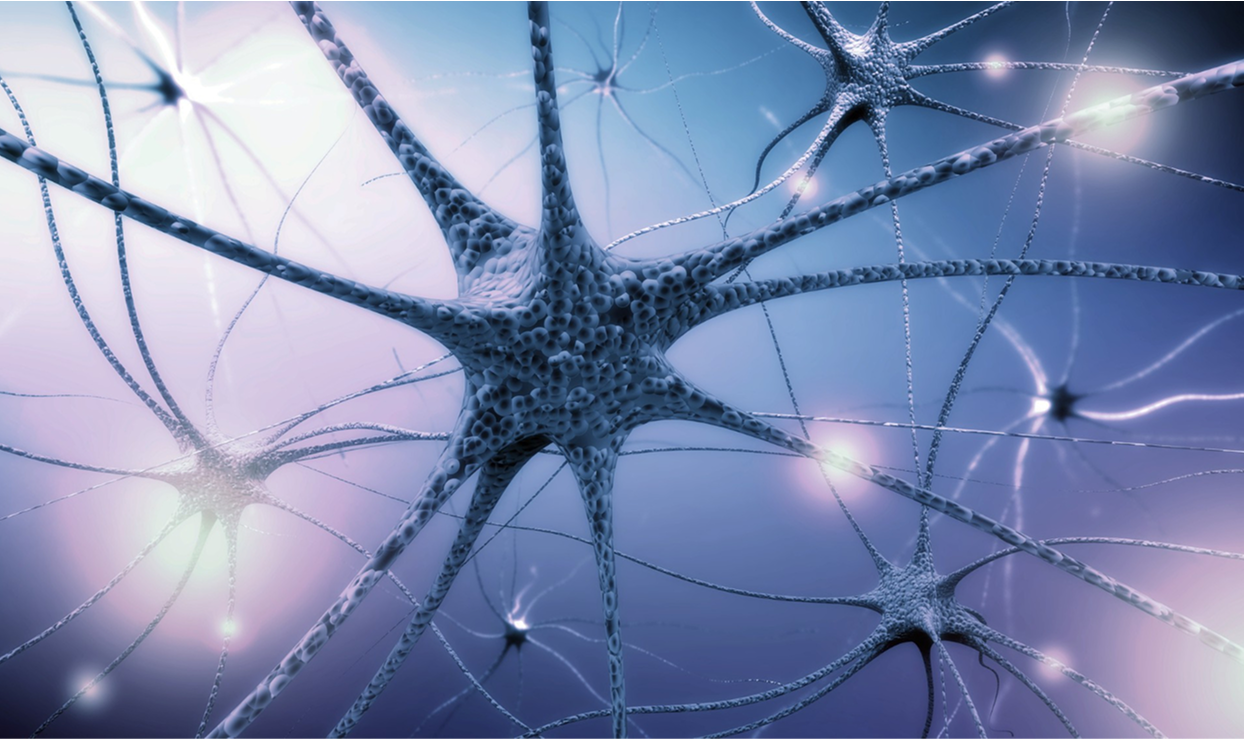 Illustration of interconnected neurons with glowing synapses on a blue background.