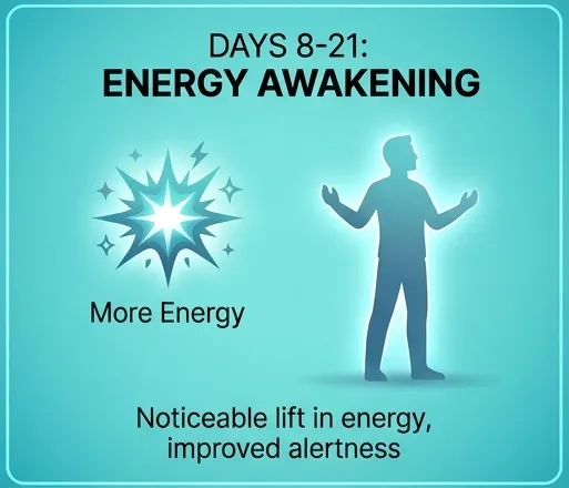 A teal graphic titled 'Energy Awakening' with an energy burst icon and a glowing silhouette of a person.