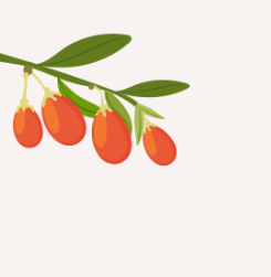 A simple illustration of a branch with green leaves and orange-red buds in the lower-left corner.