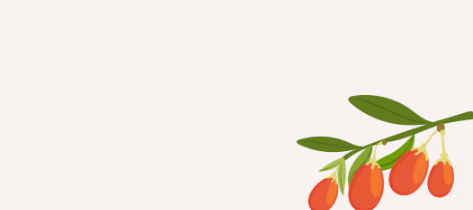 An illustration of a goji berry branch with green leaves and red berries on a plain background.