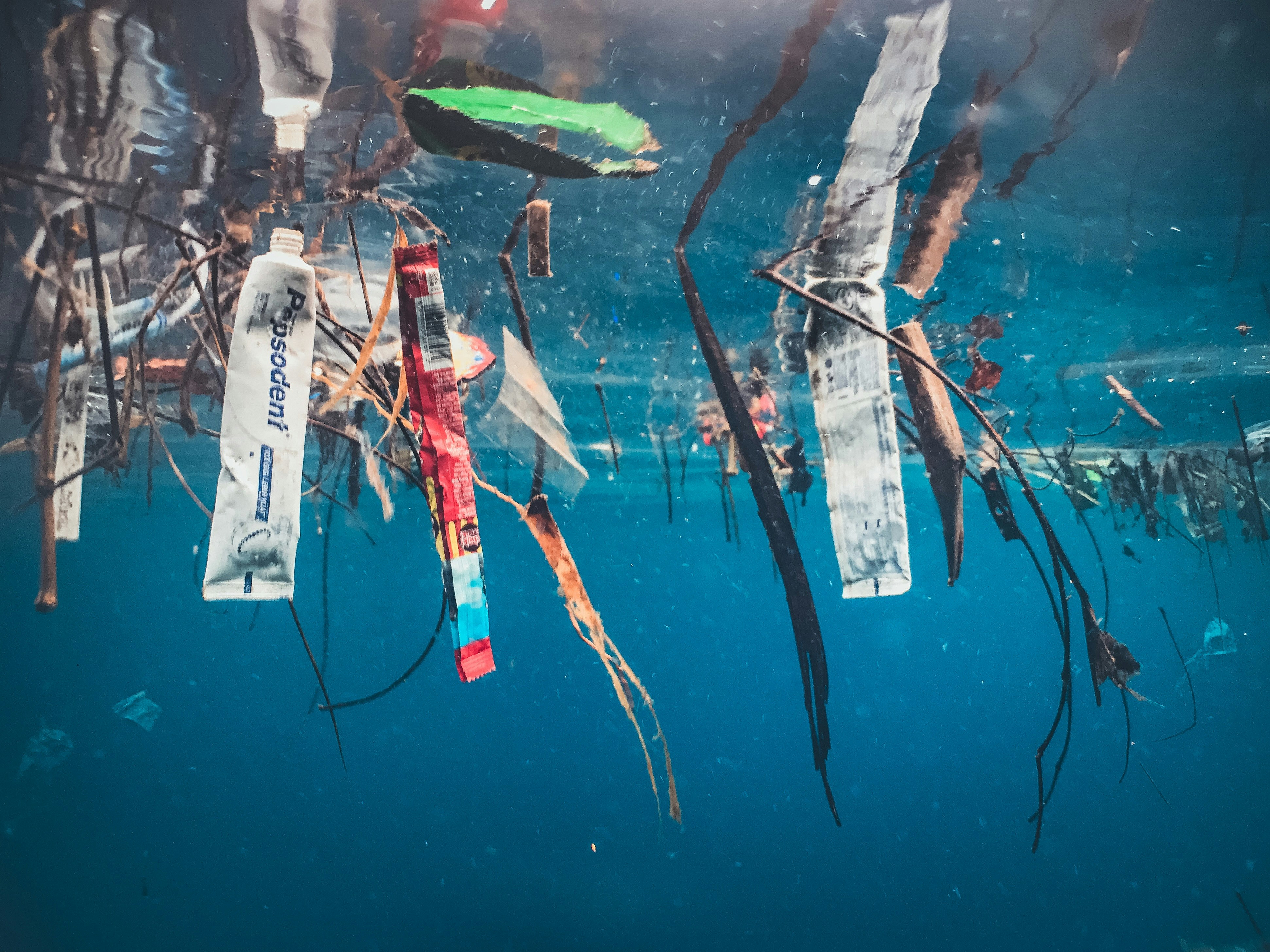 An underwater view of plastic bottles, a toothpaste tube, and other debris floating in blue water.