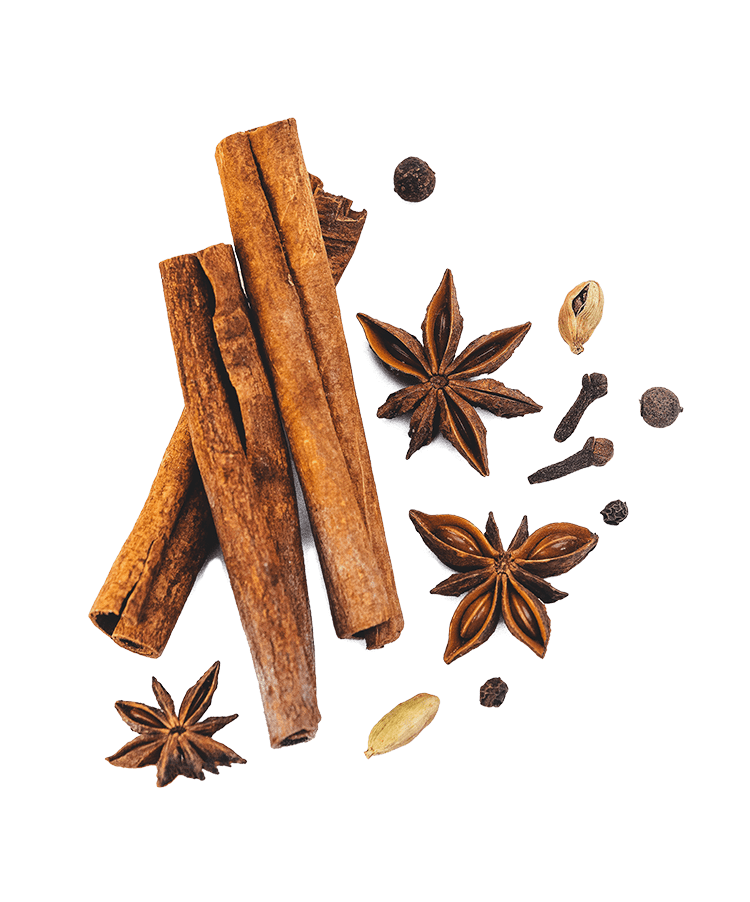 Assorted spices: cinnamon sticks, star anise, cloves, cardamom, and peppercorns.
