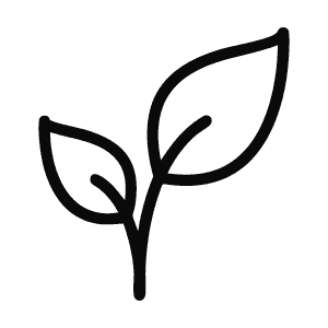 Simple black line drawing of a plant with two leaves.