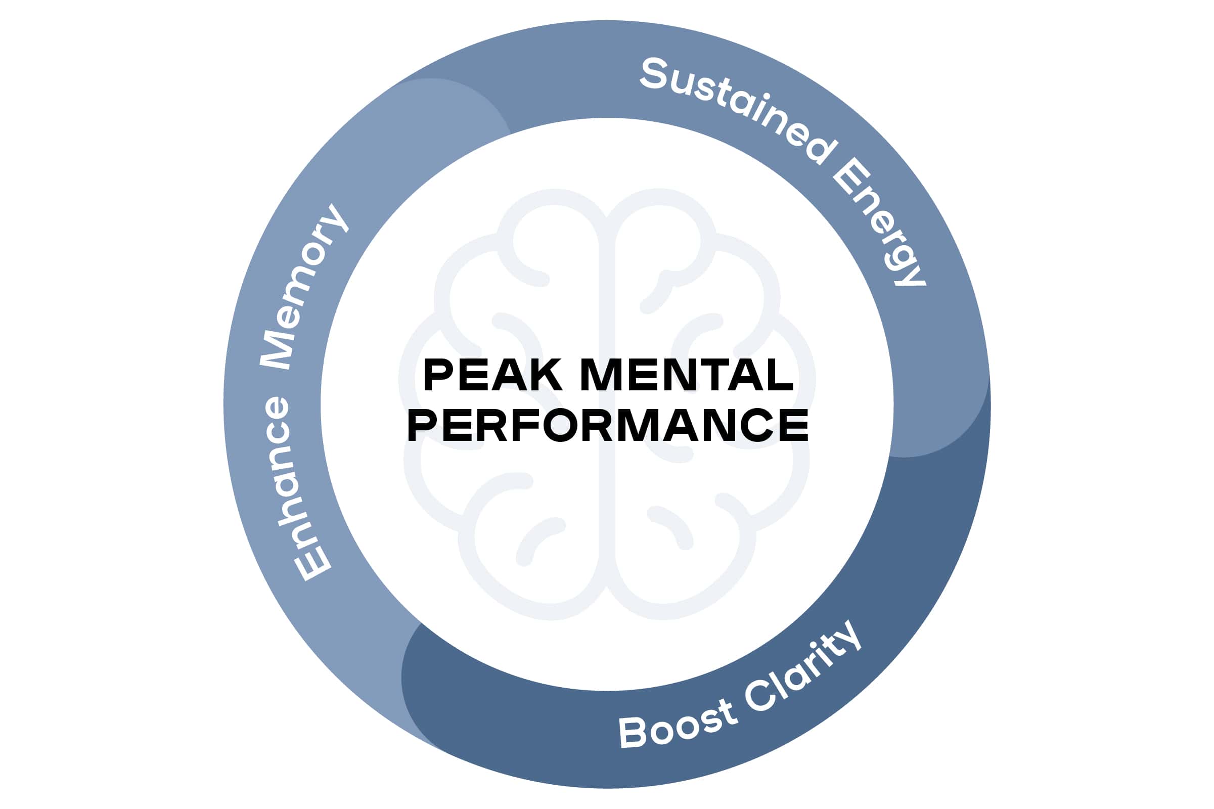 Circular diagram with 'Peak Mental Performance' and phrases: Enhance Memory, Sustained Energy, Boost Clarity.