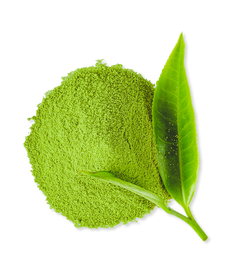 Green powder with two green leaves on a white background.