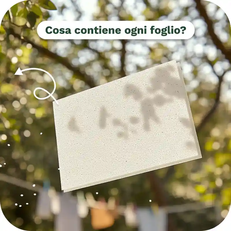 Finalmente! Arrivano  Image