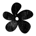 A black, five-petaled flower with a distressed texture and a hole in the center.