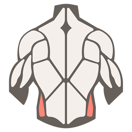 muscle image