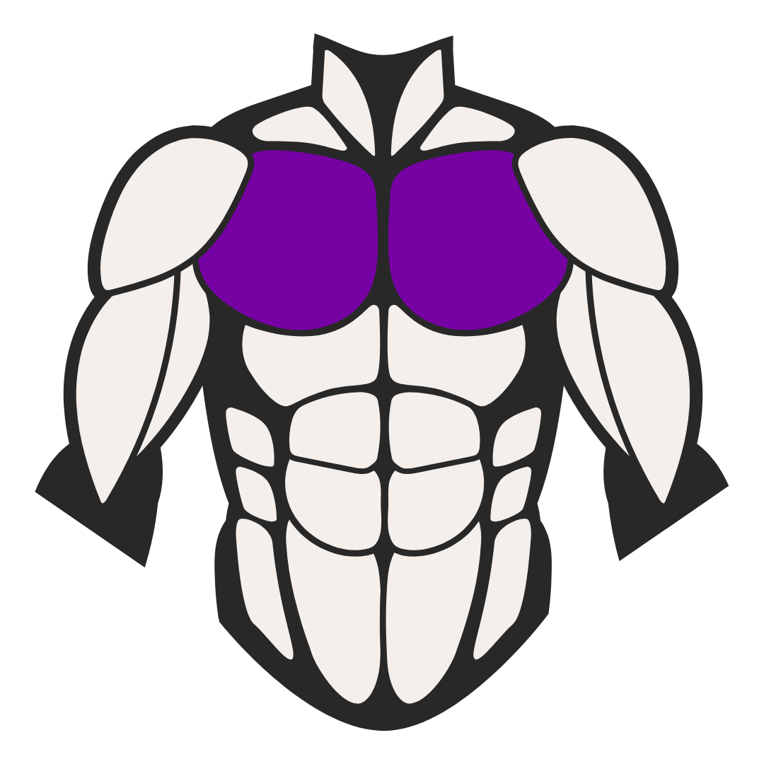 Illustration of a stylized muscular torso with purple chest area.