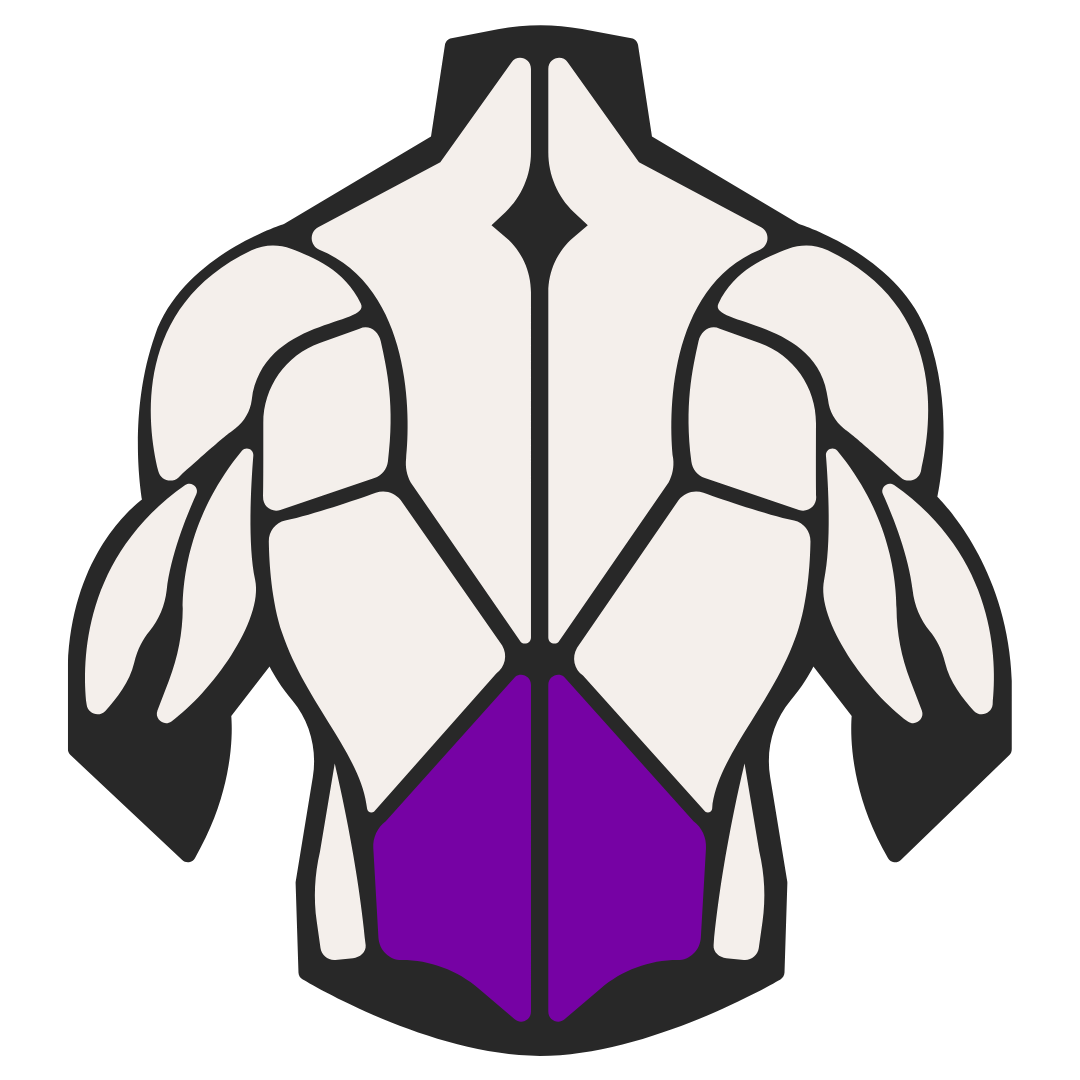Stylized illustration of a muscular torso with purple lower section.