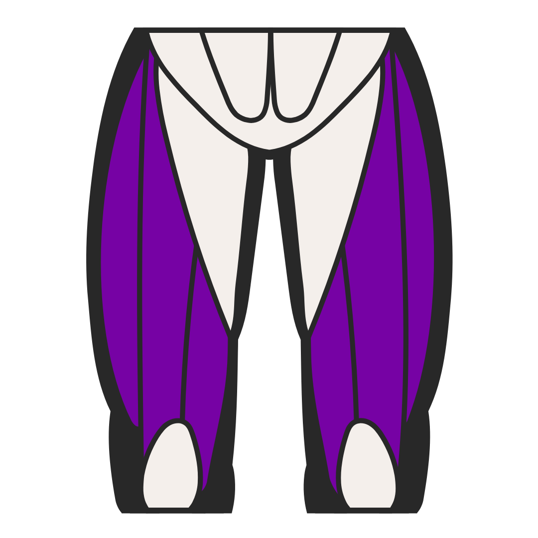 Illustration of purple and white pants with a stylized design.