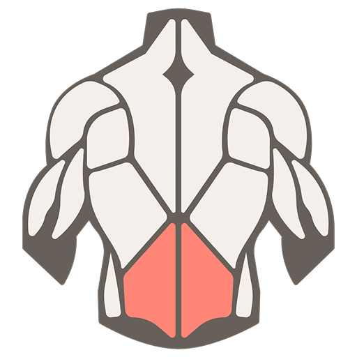 muscle image