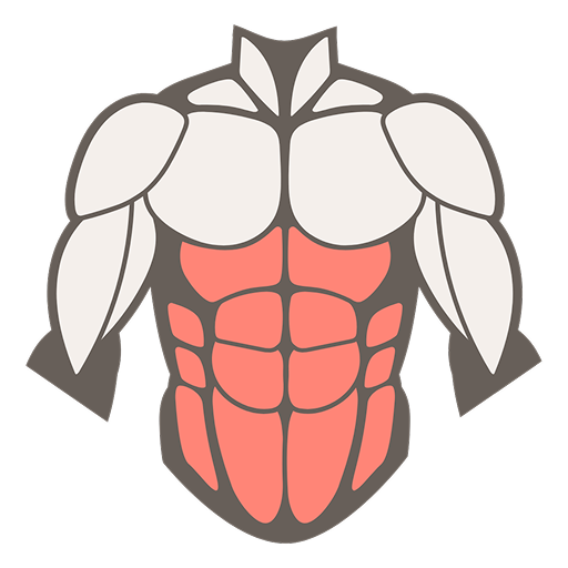 muscle image