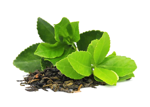 Green leaves and dried tea leaves on a white background.