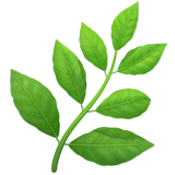 Illustration of a green leafy branch with multiple leaves.