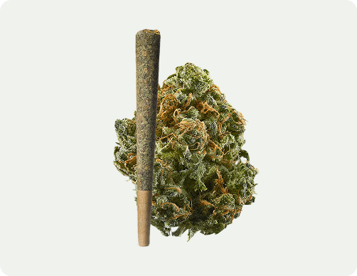 A single cannabis bud and a pre-rolled joint against a plain light gray background.