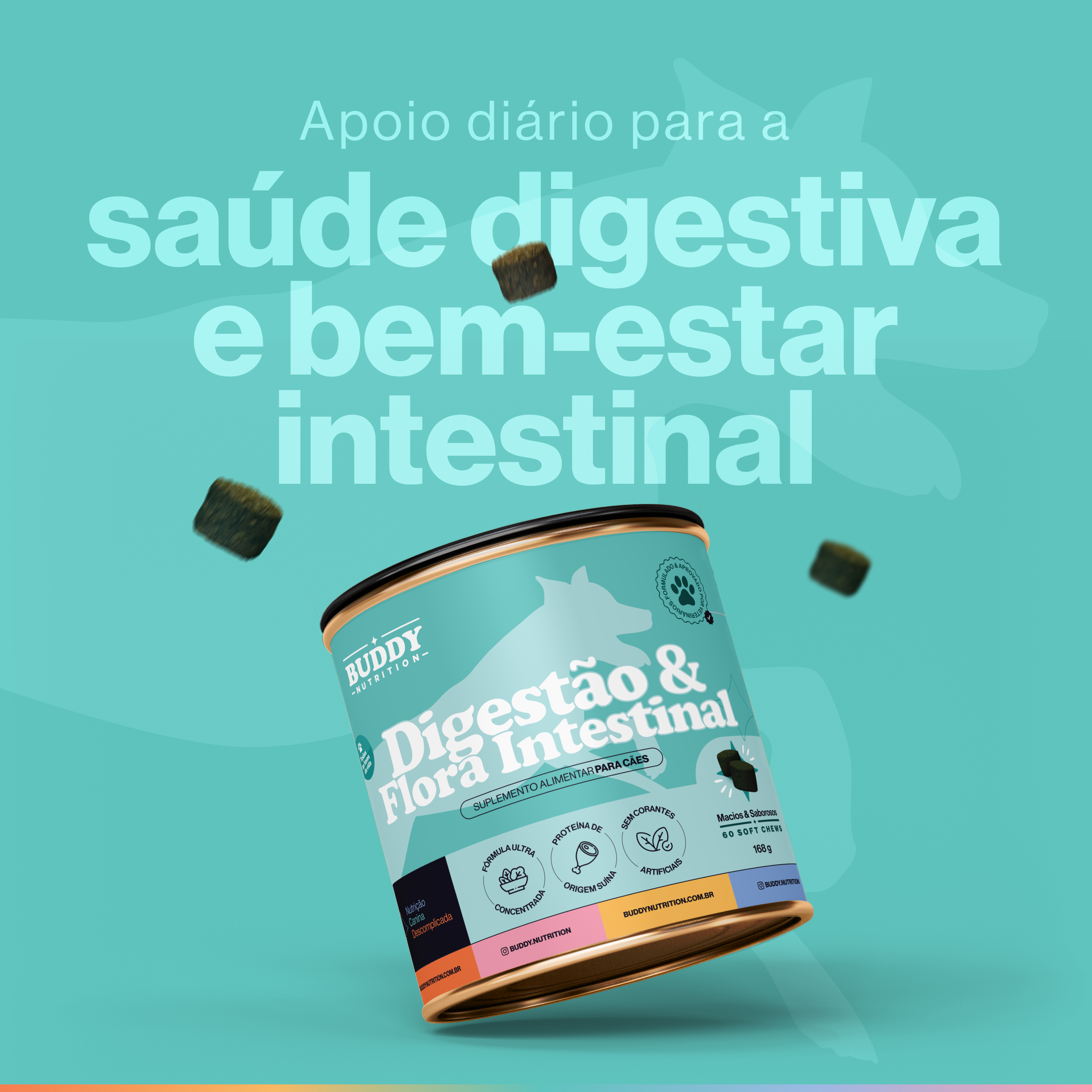 A can of Buddy Nutrition dog digestive supplement with soft chews floating around it on a teal background.