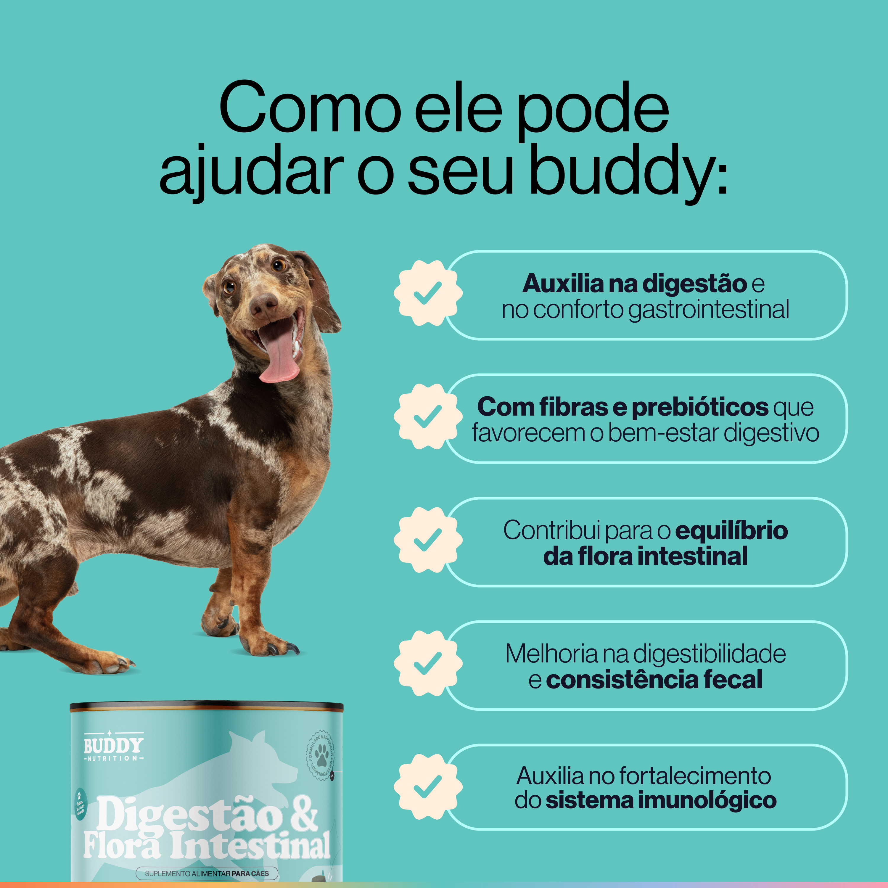 An advertisement for Buddy Nutrition dog food, showing a smiling dachshund and a list of benefits in Portuguese.