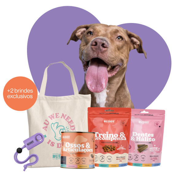 A happy brown dog posing behind a collection of dog food, treats, a tote bag, and a clicker.