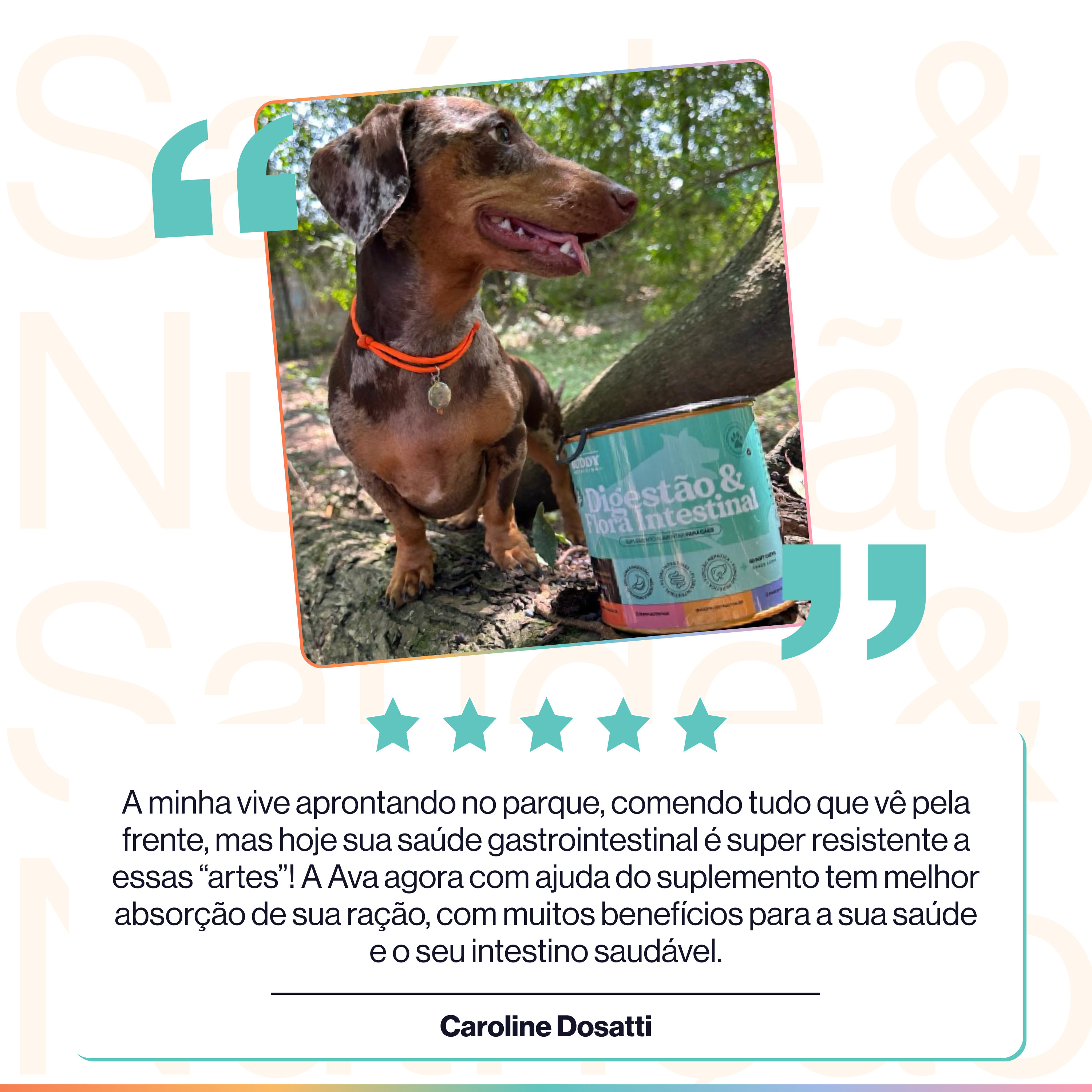 A customer testimonial featuring a photo of a dapple dachshund next to a can of dog supplement.