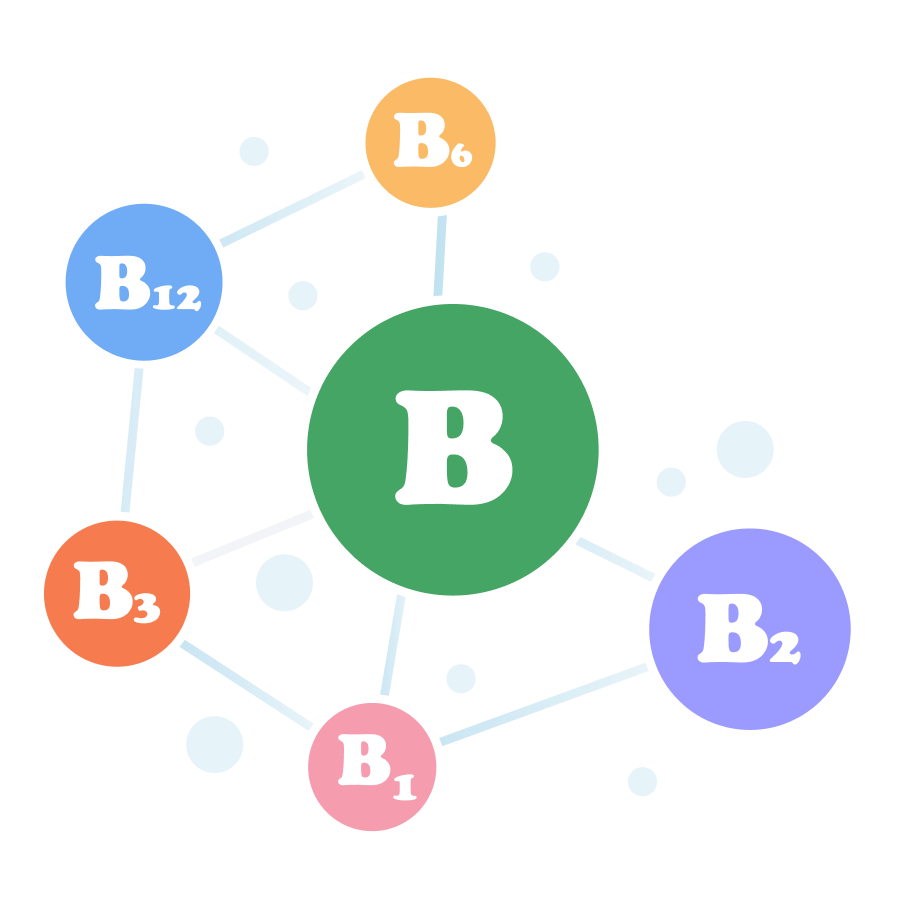 A diagram of the B vitamin complex, showing B1, B2, B3, B6, and B12 connected together.