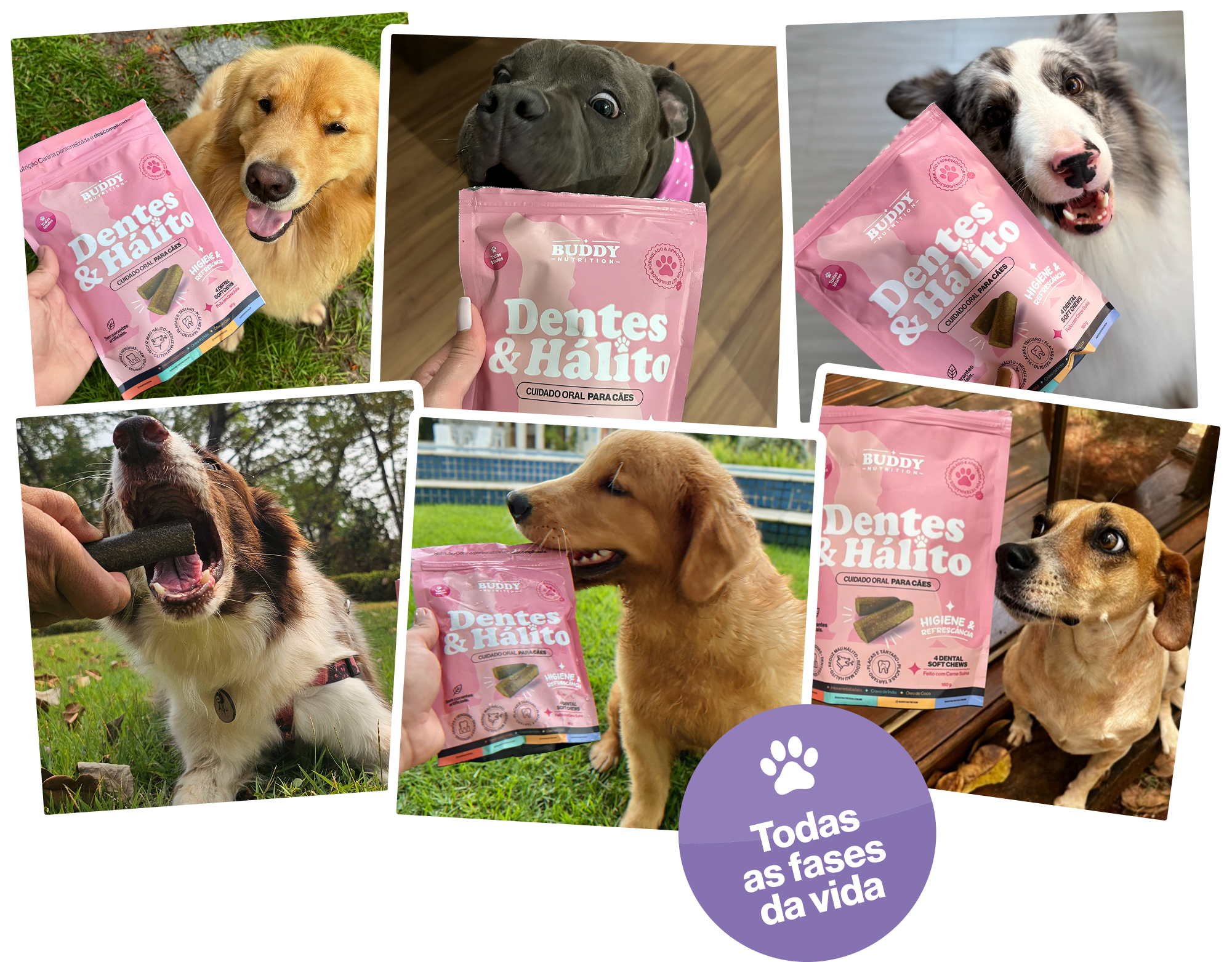A photo collage of different dogs with cans of pet supplements and treats.