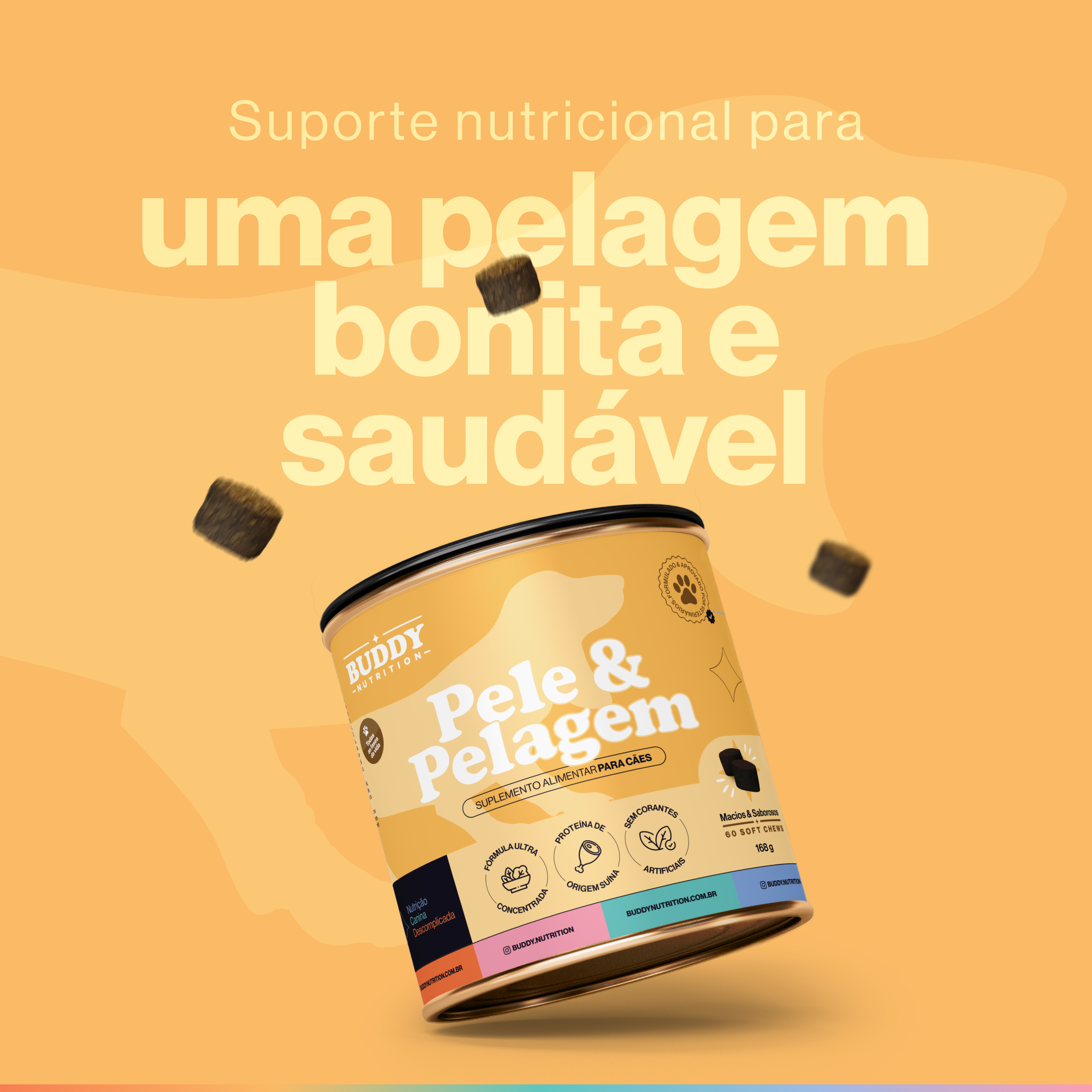 A can of Buddy Nutrition dog supplements for skin and coat, with chews floating against an orange background.