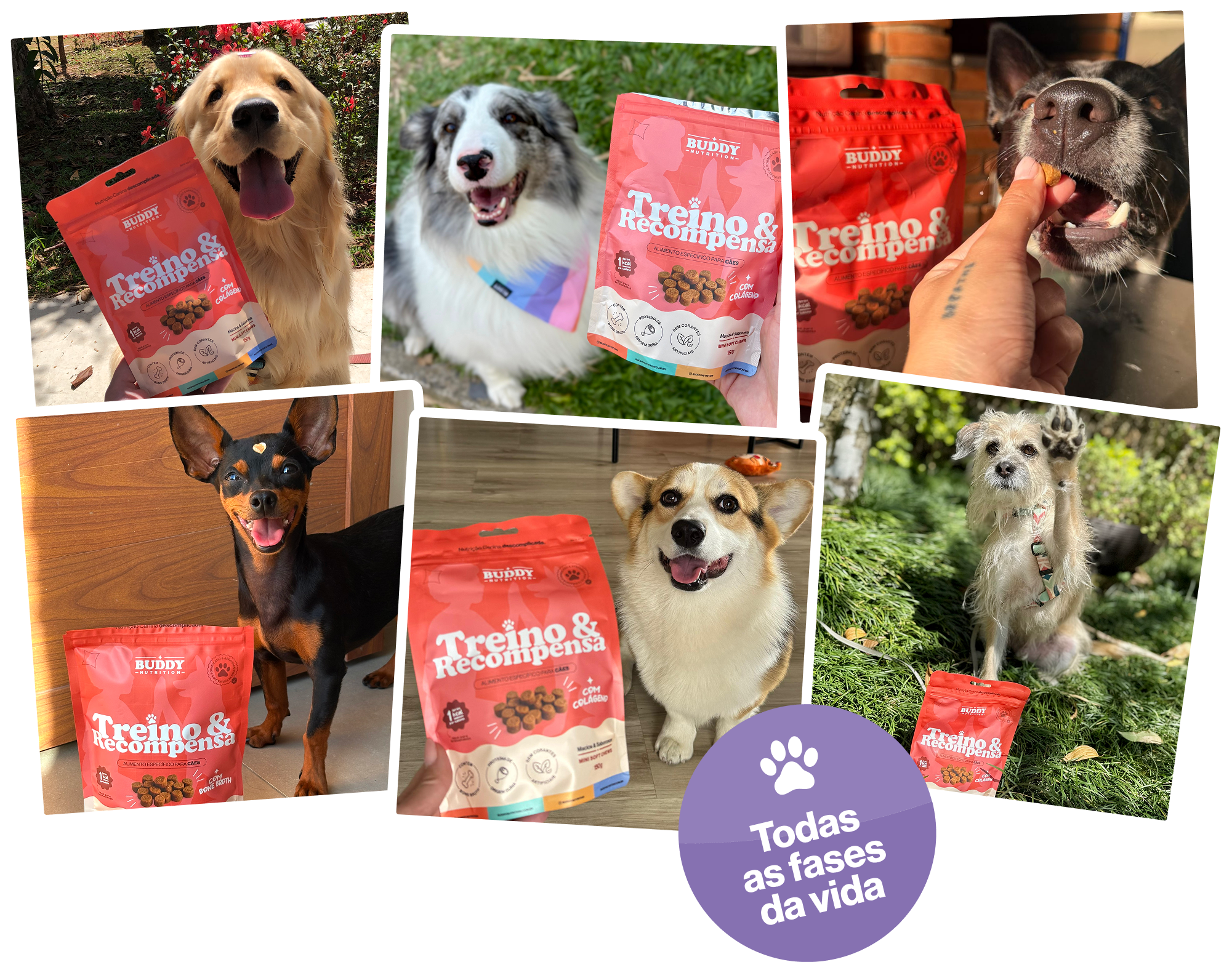 A photo collage of different dogs with cans of pet supplements and treats.
